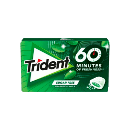 Trident 60 Minuten Groene Munt 22 g | Distribución Mayorista
