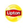 Lipton - Großhandel